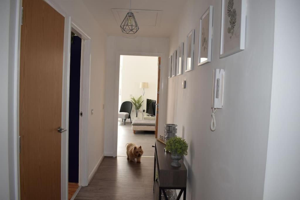 Apartament The Paisley Penthouse - Abbey View Zewnętrze zdjęcie